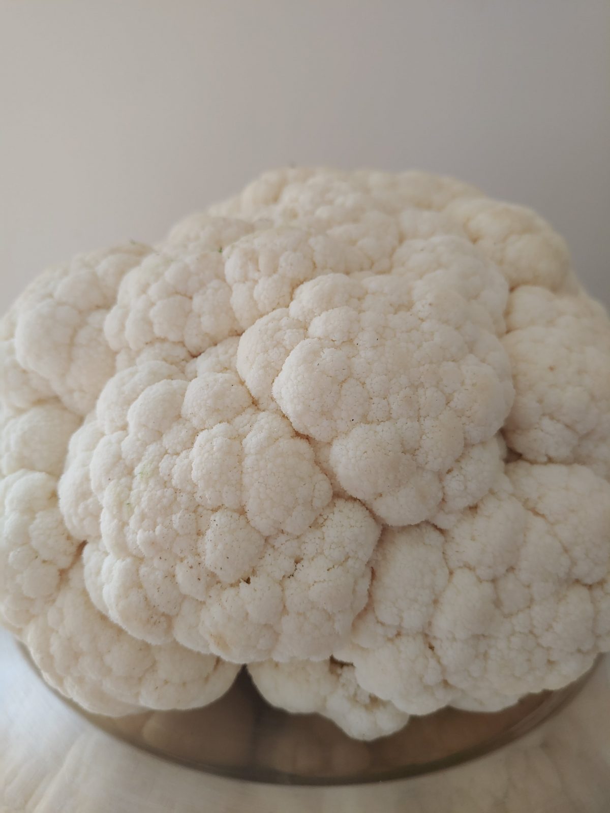 coliflor gratinada